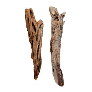 Set of 2 Cali. Coast Wavy Natural Driftwood Beach Burlwood 1.10 Lbs Terrarium